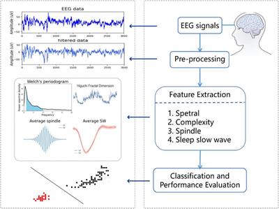 Sleep EEG-Based Approach to Detect Mild Cognitive Impairment